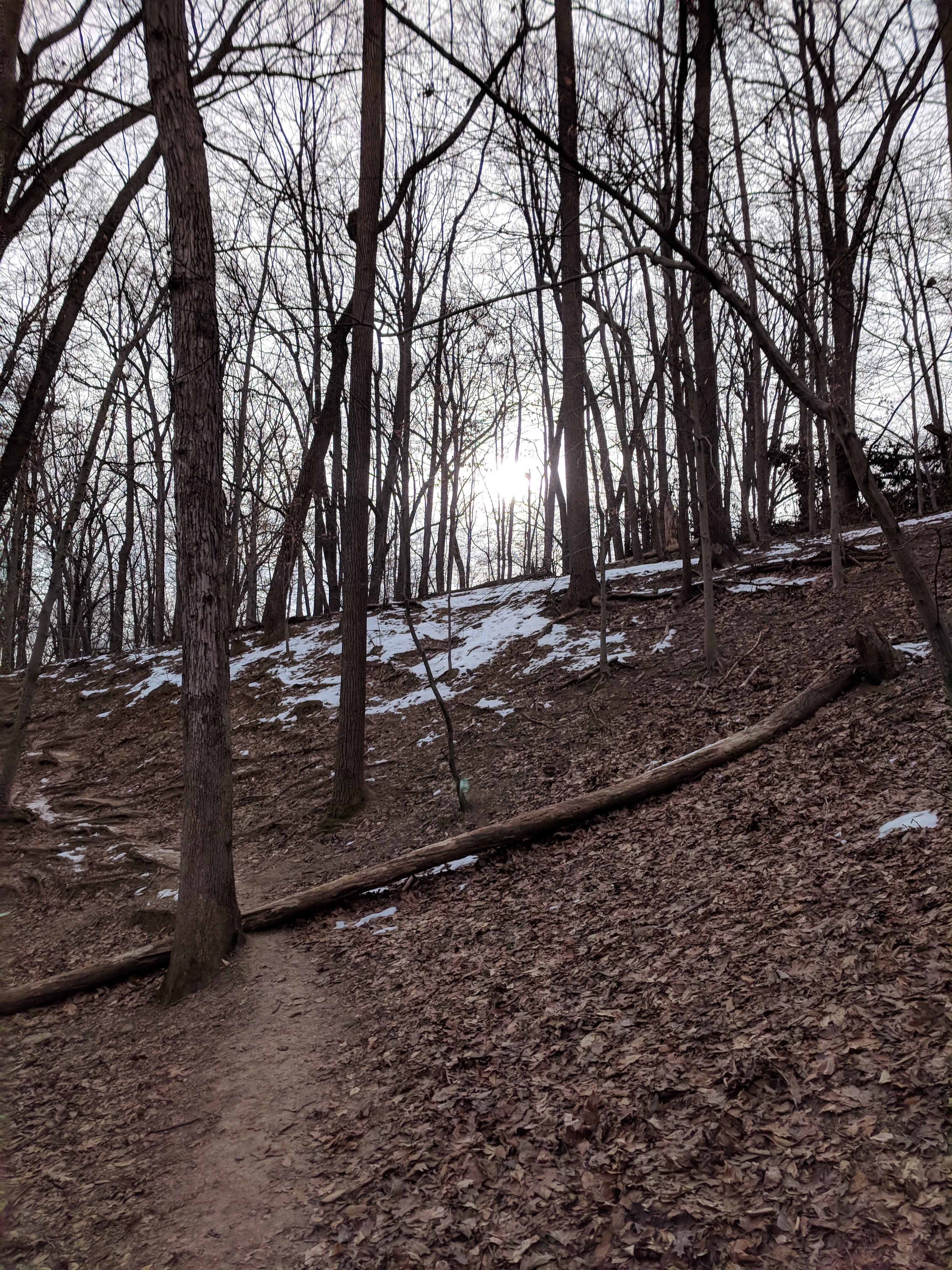 IMG_20190123_092843-1