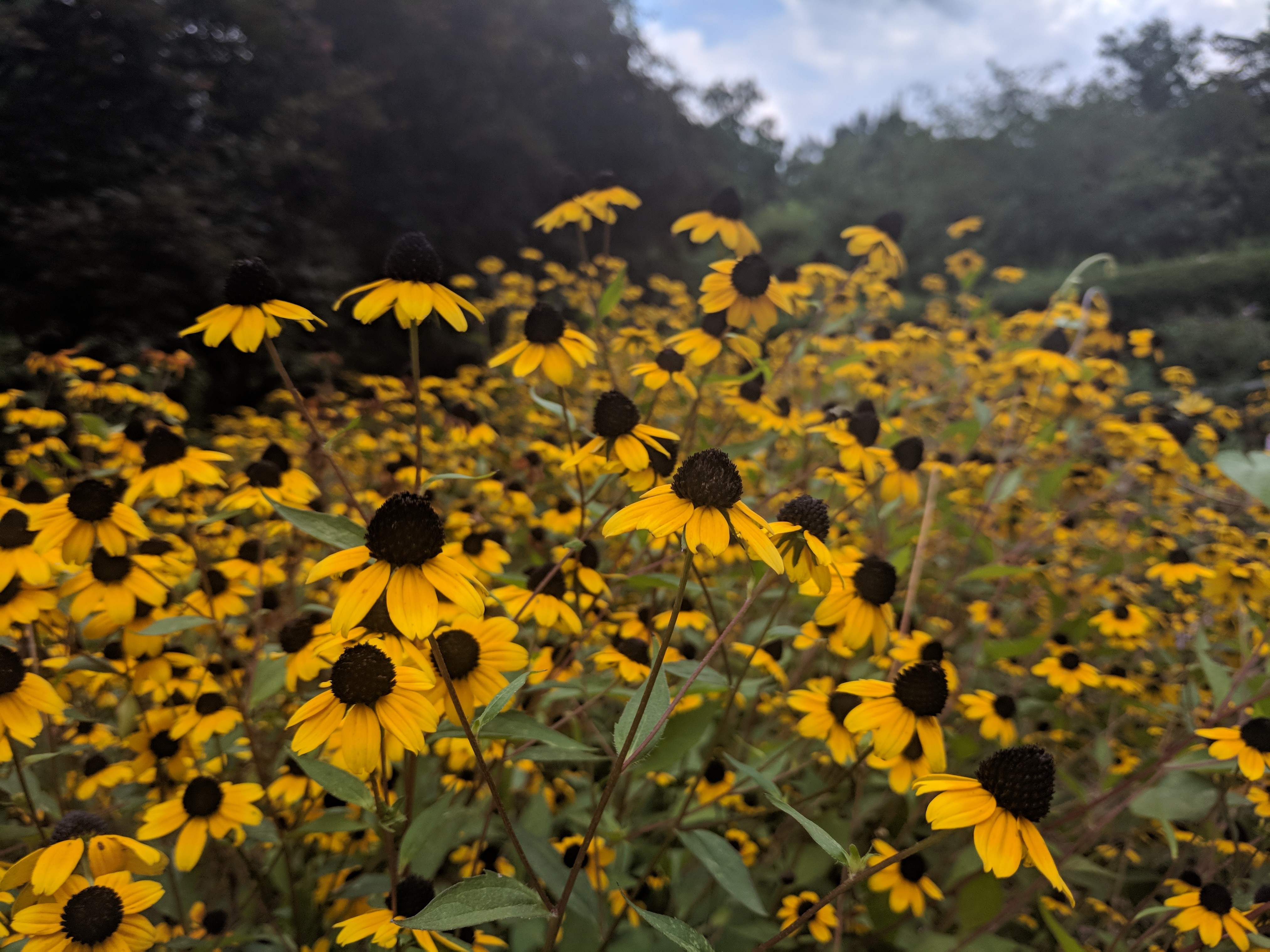 img_20190815_153812-1